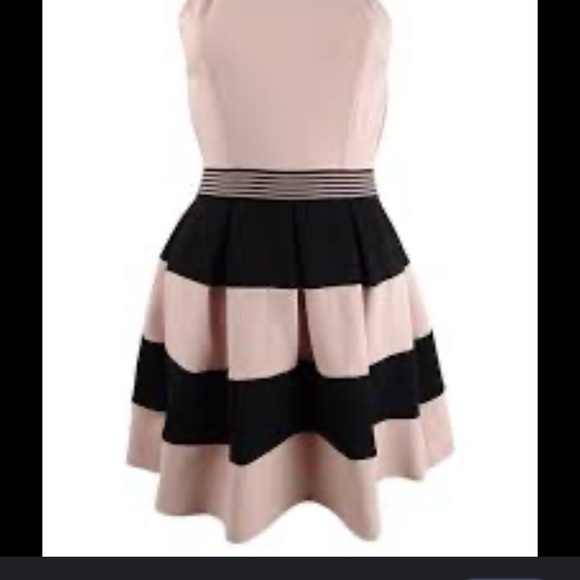 SPECHLESS DRESS - Picture 2 of 4